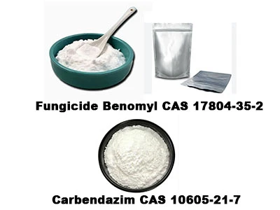 Sự khác biệt giữa carbendazim và benomyl